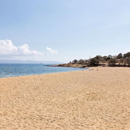 Villa San Dimitrio House On The Beach Логарас Экстерьер фото