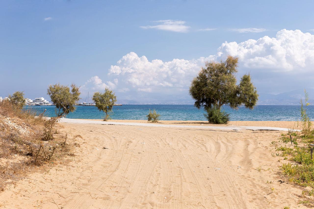 Villa San Dimitrio House On The Beach Логарас Экстерьер фото