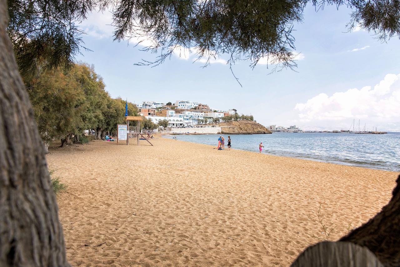Villa San Dimitrio House On The Beach Логарас Экстерьер фото